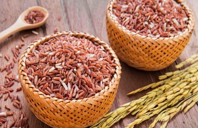 How many calories in a cup of brown rice