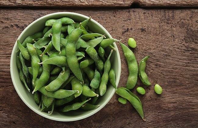 Soy Seeds Benefits